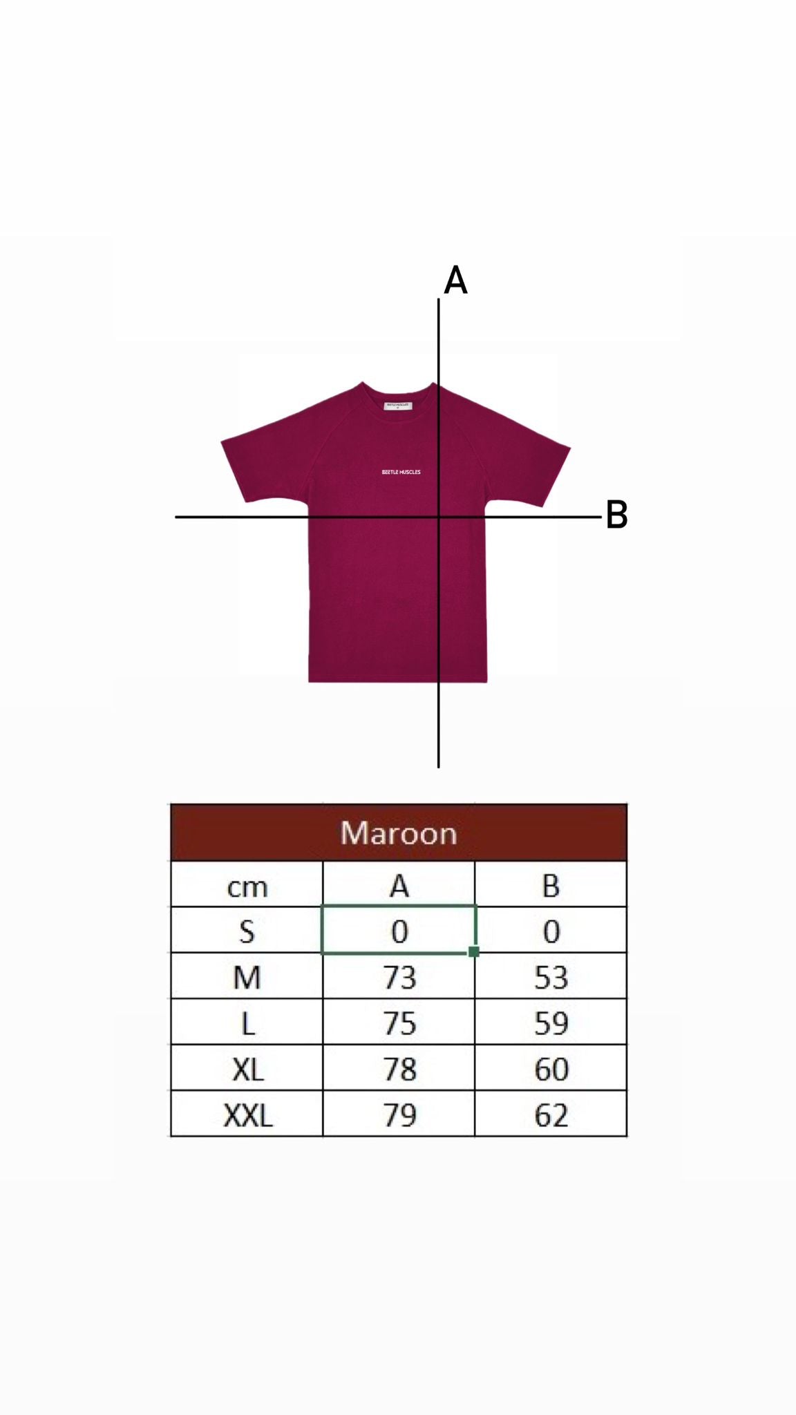 Maroon Winter Raglan Tshirt